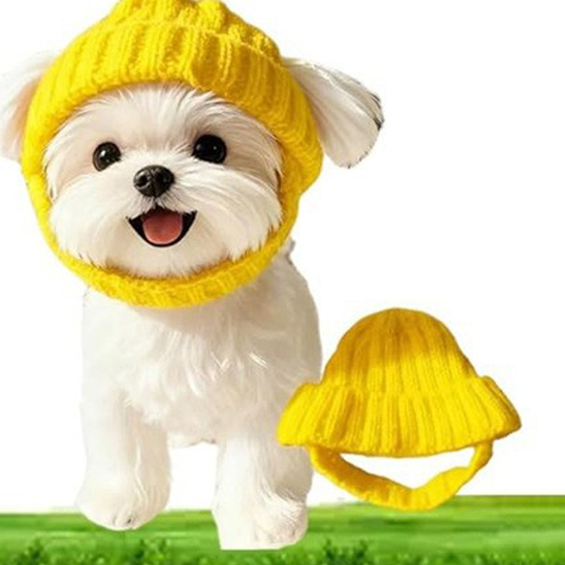 1Pc Maltese Dog Beanie Hat Sof - đánh giá và giá Winter Trapper Hat